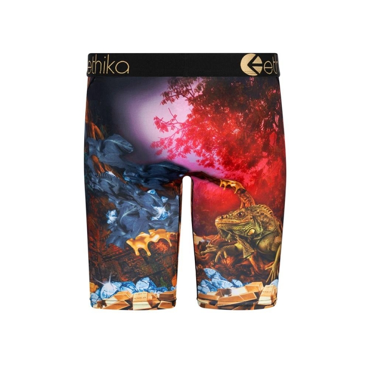 Sous Vêtement Ethika Dreams Of Bounty Staple Multicolore Garcon | FRVO-88269433