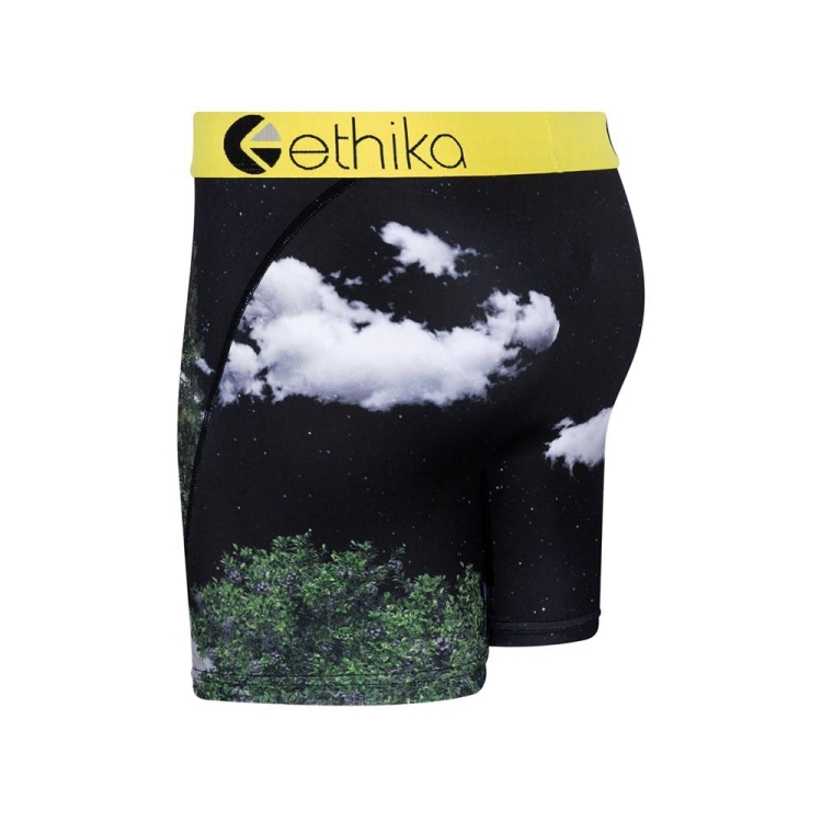 Mid Boxers Ethika The Wolf Pack Multicolore Homme | GMZS-11066673