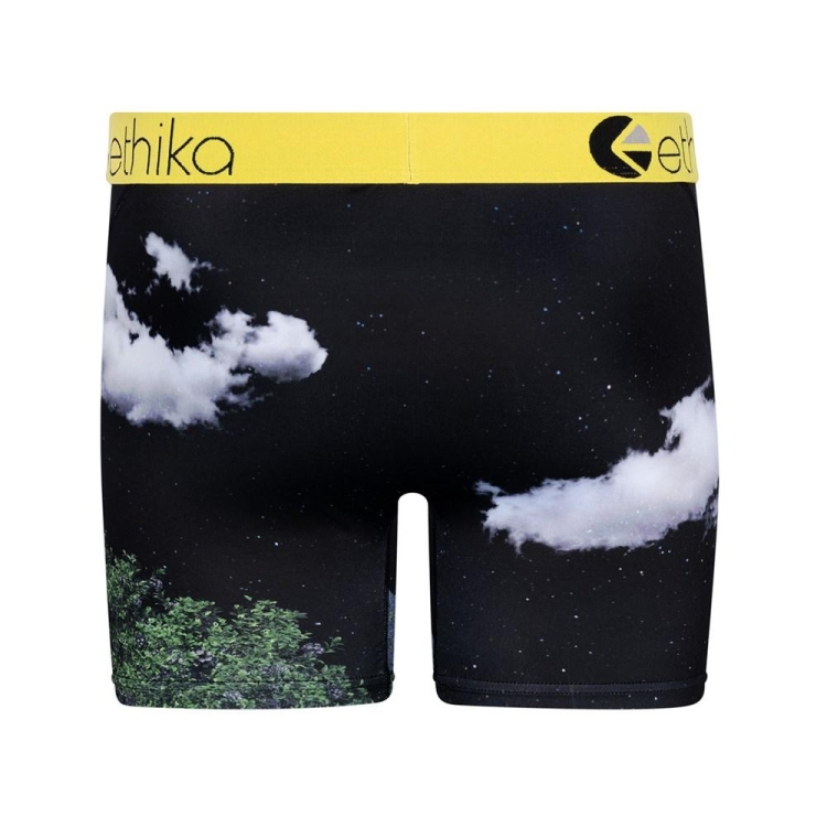 Mid Boxers Ethika The Wolf Pack Multicolore Homme | GMZS-11066673