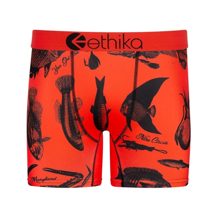 Mid Boxers Ethika Maryland Orange Homme | FOXX-85800121