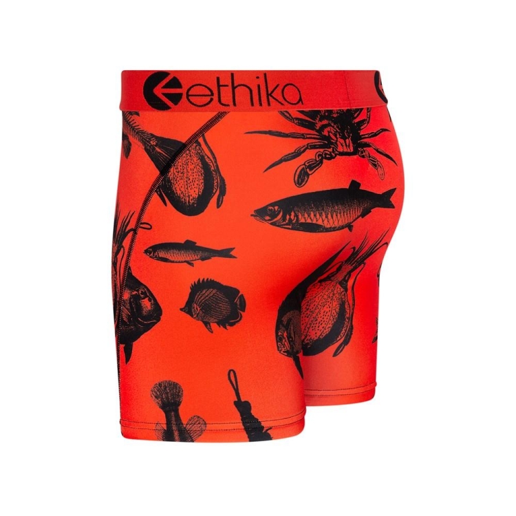 Mid Boxers Ethika Maryland Orange Homme | FOXX-85800121