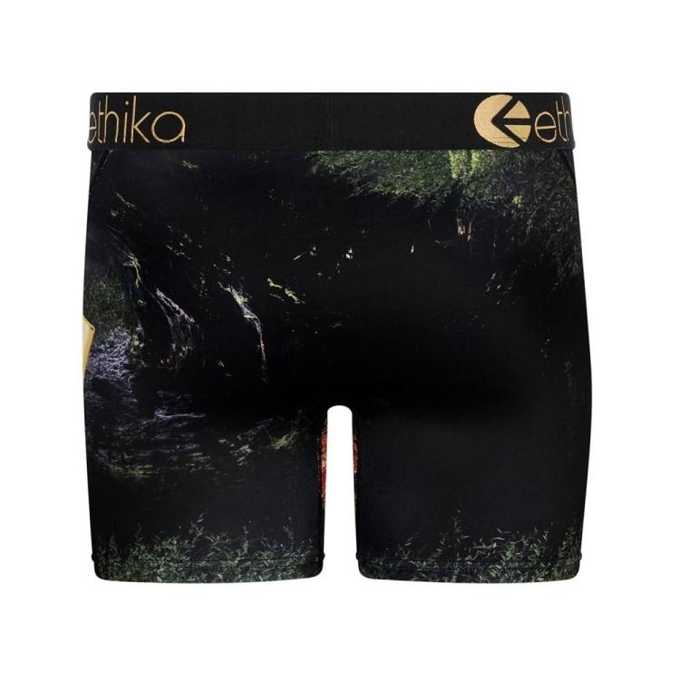 Mid Boxers Ethika Lions Den Noir Homme | YTBN-40307502