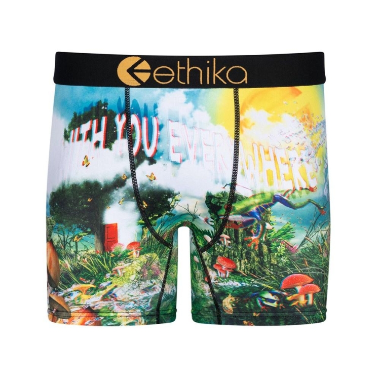 Mid Boxers Ethika Lifes a Trip 3D Multicolore Homme | UYPG-30092609