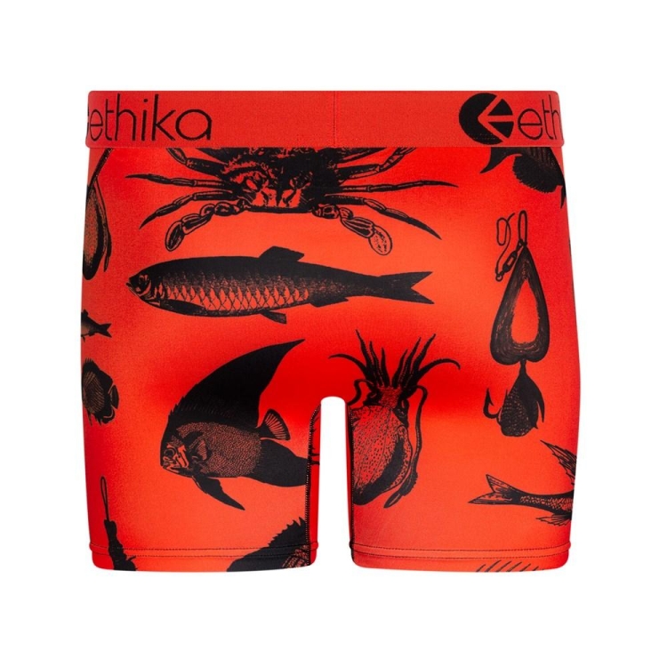 Mid Boxers Ethika Maryland Orange Homme | FOXX-85800121