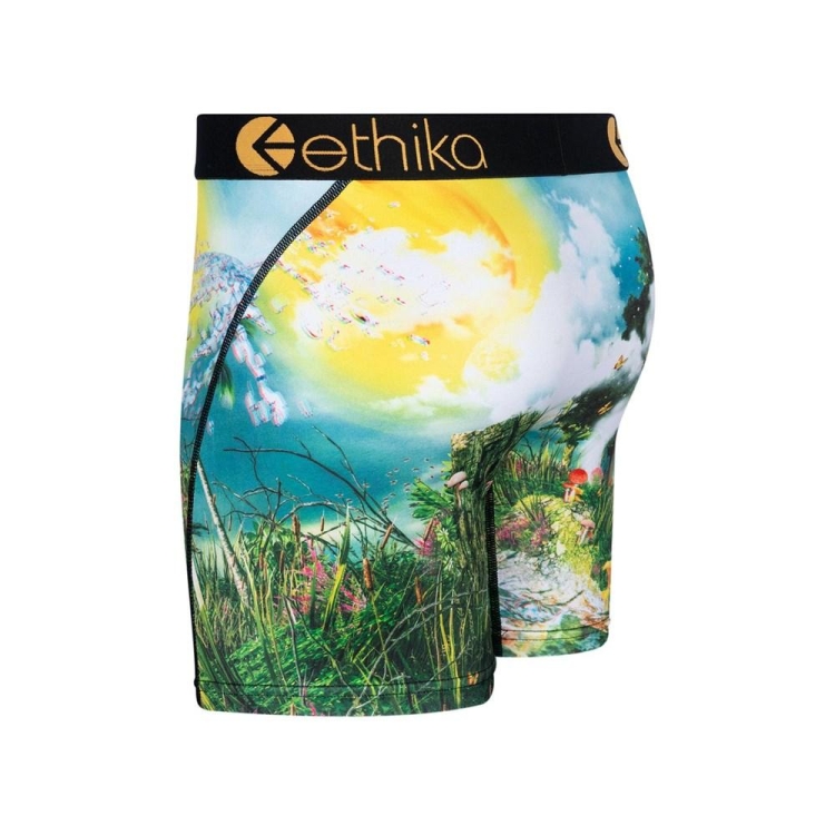 Mid Boxers Ethika Lifes a Trip 3D Multicolore Homme | UYPG-30092609