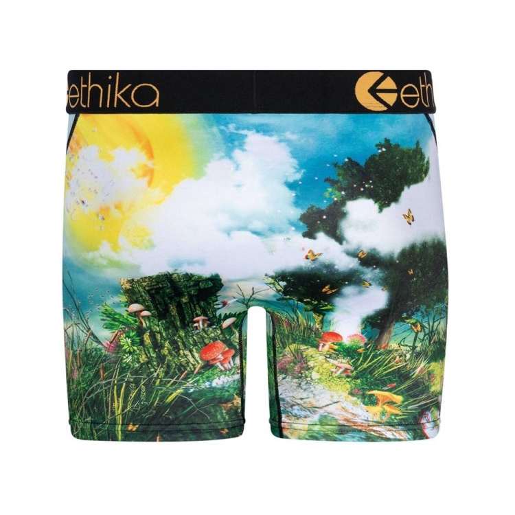 Mid Boxers Ethika Lifes a Trip 3D Multicolore Homme | UYPG-30092609