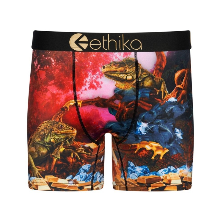 Mid Boxers Ethika Dreams Of Bounty Multicolore Homme | AEBP-59246130