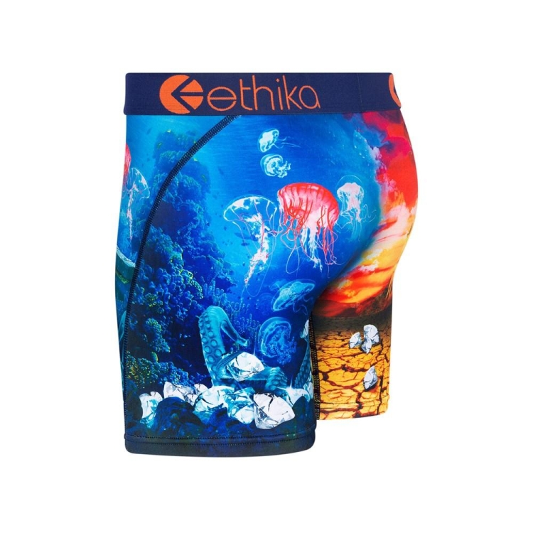 Mid Boxers Ethika Diamond In The Rough Multicolore Homme | ZTWT-36487574