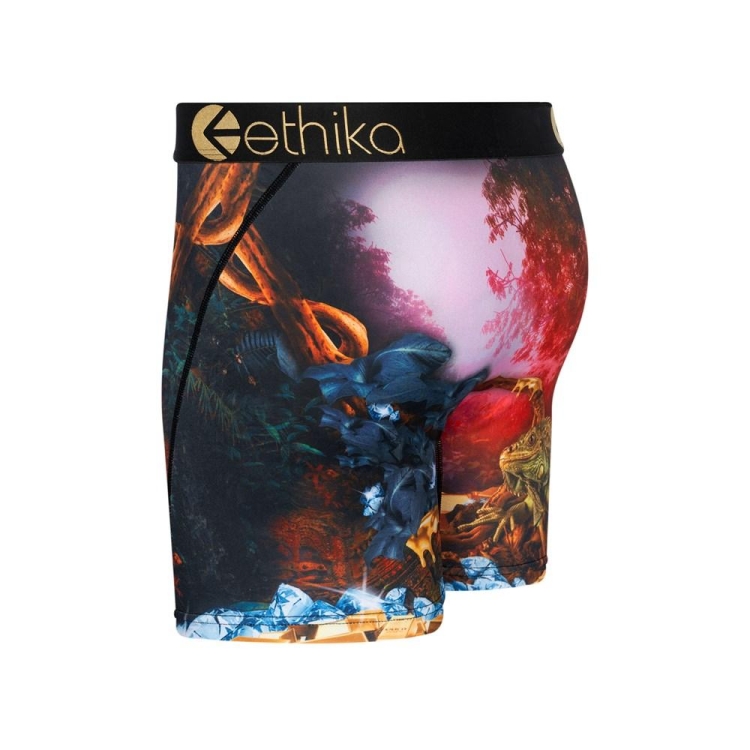 Mid Boxers Ethika Dreams Of Bounty Multicolore Homme | AEBP-59246130