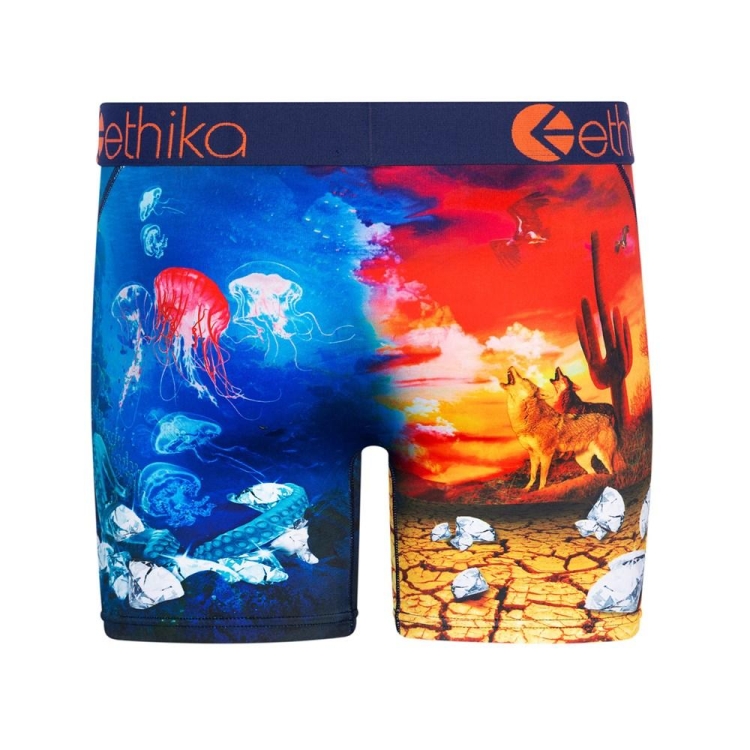 Mid Boxers Ethika Diamond In The Rough Multicolore Homme | ZTWT-36487574