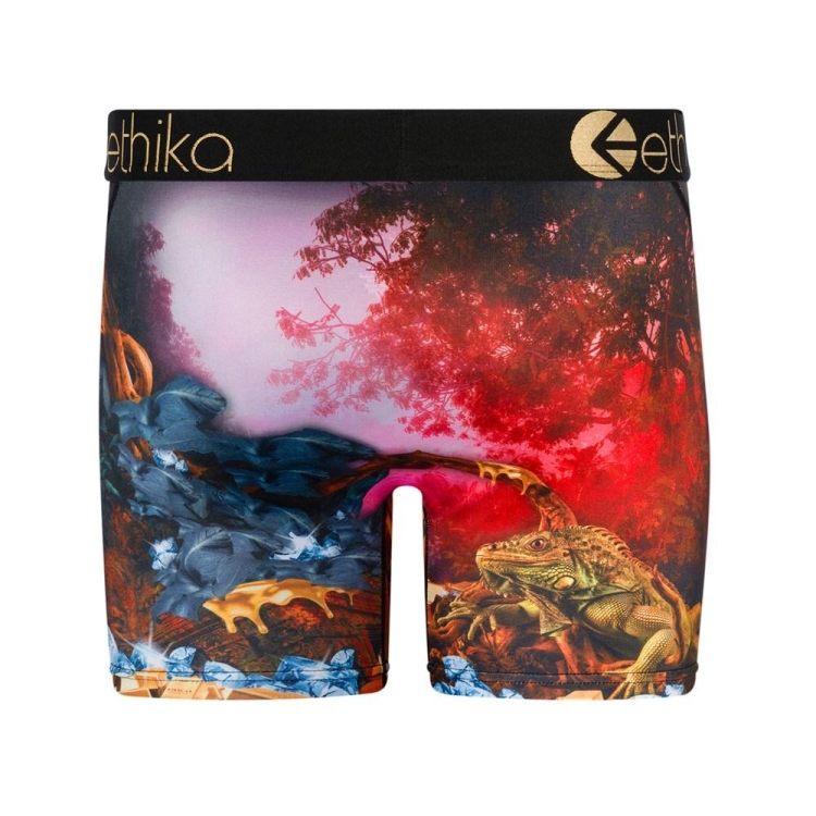 Mid Boxers Ethika Dreams Of Bounty Multicolore Homme | AEBP-59246130