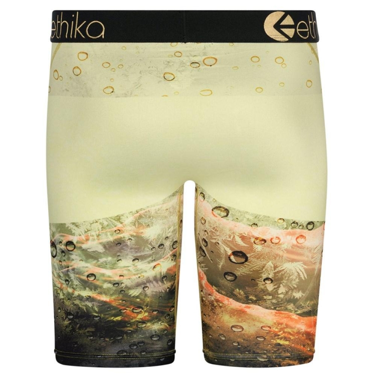 Staple Underwear Ethika V.S.O.P Vert Homme | DHQC-55026739