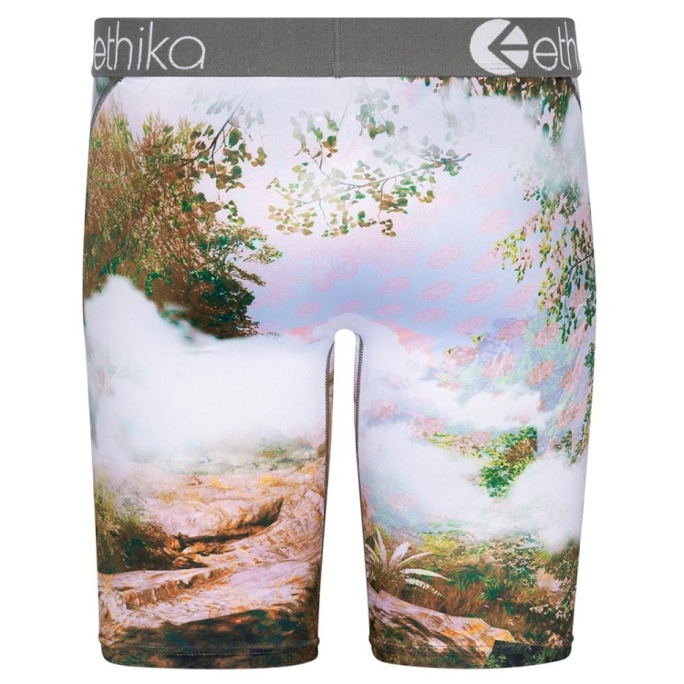 Staple Underwear Ethika You Good? Multicolore Homme | PYMK-08935924