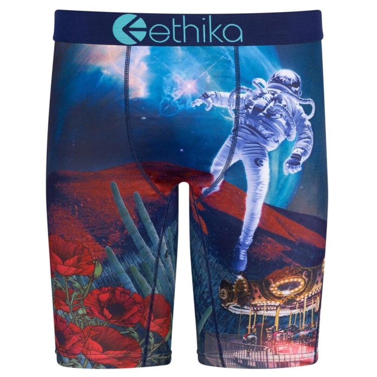 Staple Underwear Ethika Sicko Multicolore Homme | QNOW-92422599