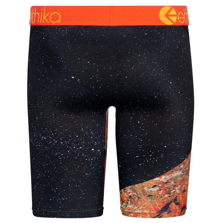 Staple Underwear Ethika Superbloom Noir Homme | WXZJ-73147916