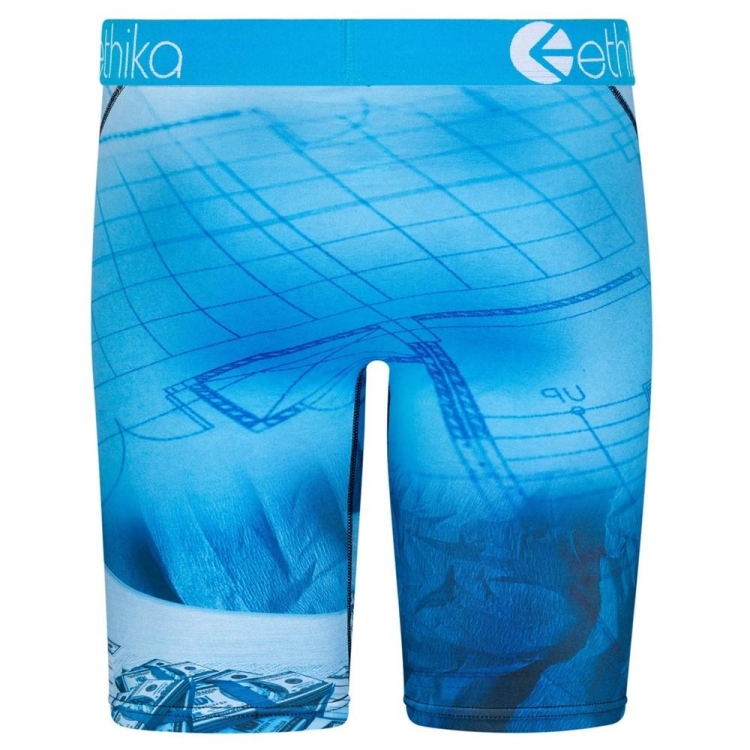 Staple Underwear Ethika Print Bleu Homme | DAKK-89178813