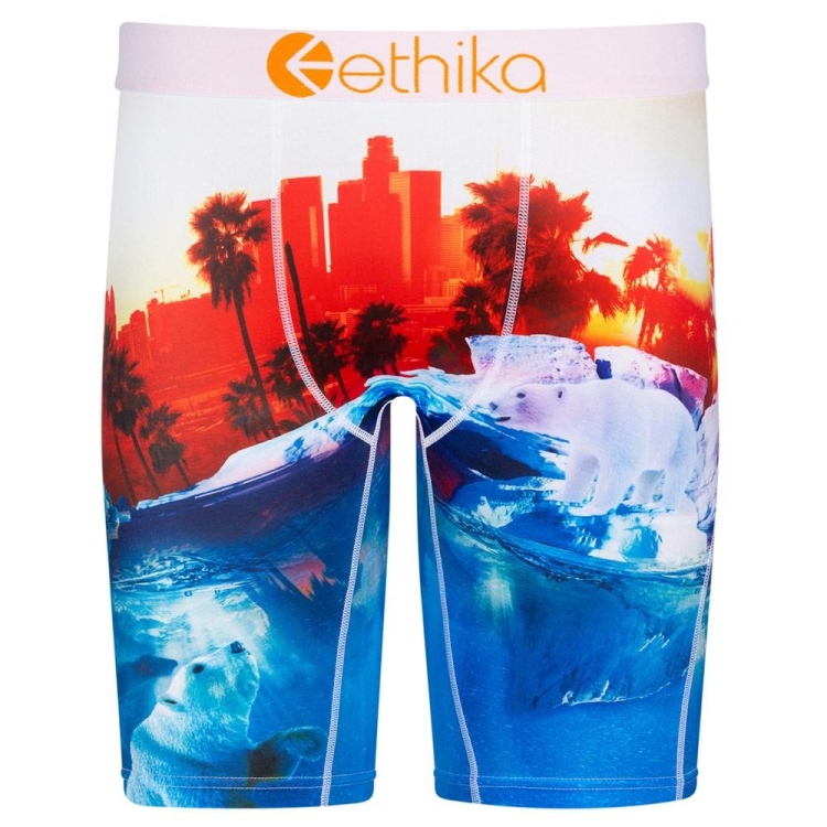 Staple Underwear Ethika Polar World Bleu Rouge Homme | LLZX-51777303