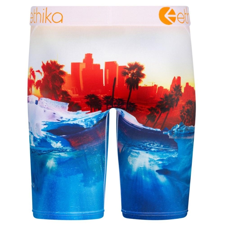 Staple Underwear Ethika Polar World Bleu Rouge Homme | LLZX-51777303