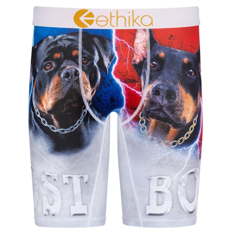 Staple Underwear Ethika Lost Grise Homme | KBMK-07001681