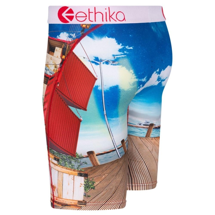 Staple Underwear Ethika Miami Port Multicolore Homme | VDZE-86774544