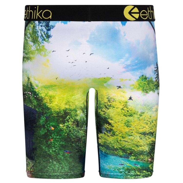 Staple Underwear Ethika My Time Vert Homme | AGYD-50884208