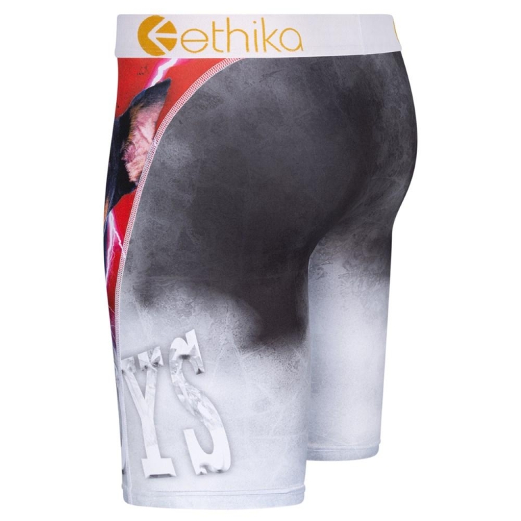 Staple Underwear Ethika Lost Grise Homme | KBMK-07001681