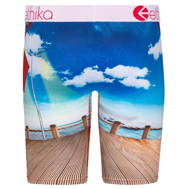 Staple Underwear Ethika Miami Port Multicolore Homme | VDZE-86774544