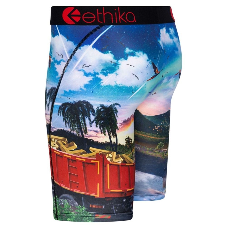 Staple Underwear Ethika Isla De Encanto Multicolore Homme | ZLED-09680285