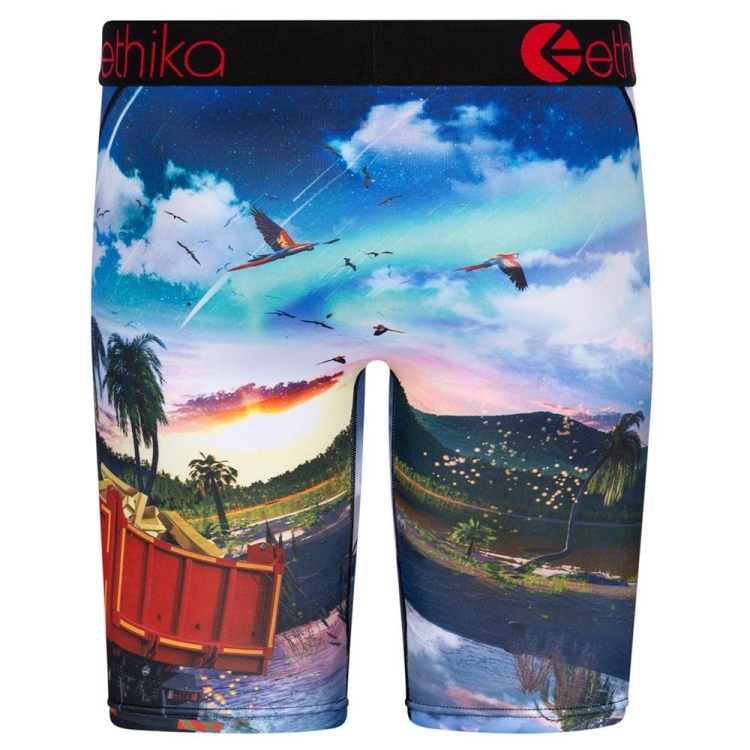 Staple Underwear Ethika Isla De Encanto Multicolore Homme | ZLED-09680285