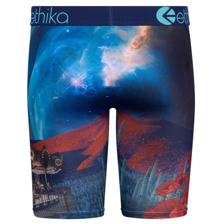 Staple Underwear Ethika Sicko Multicolore Homme | QNOW-92422599