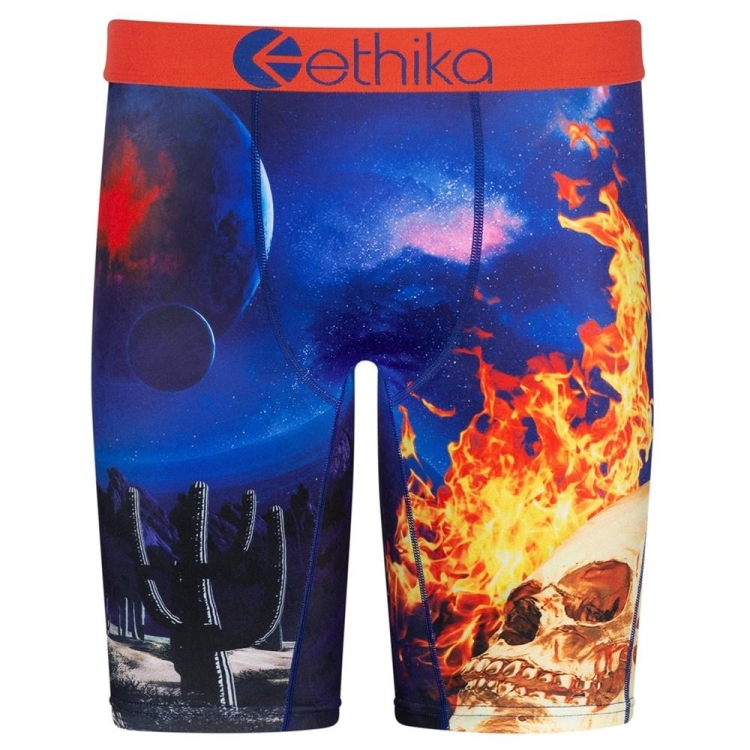 Staple Underwear Ethika Flame World Multicolore Homme | RLCU-17504824