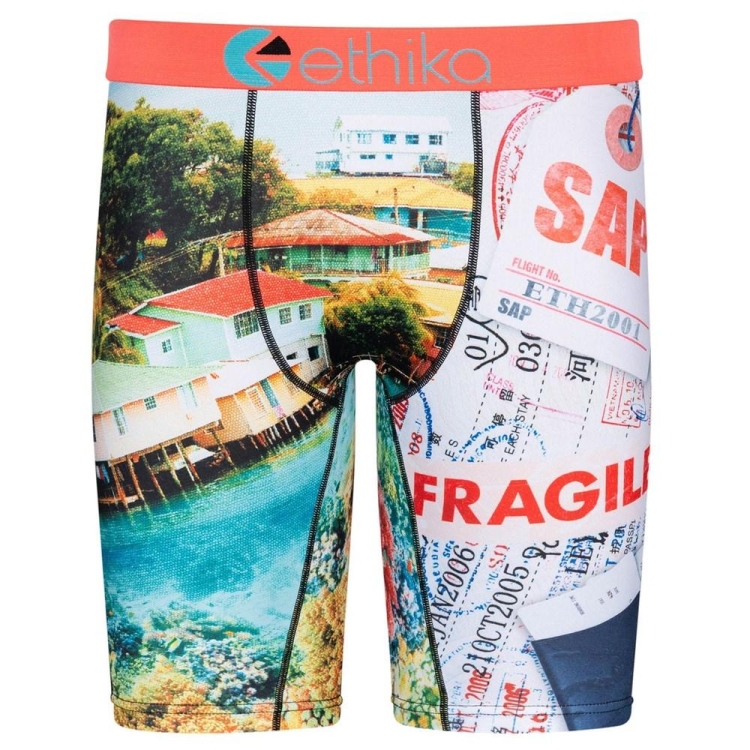 Staple Underwear Ethika Fly Out Multicolore Homme | LAUZ-14171543