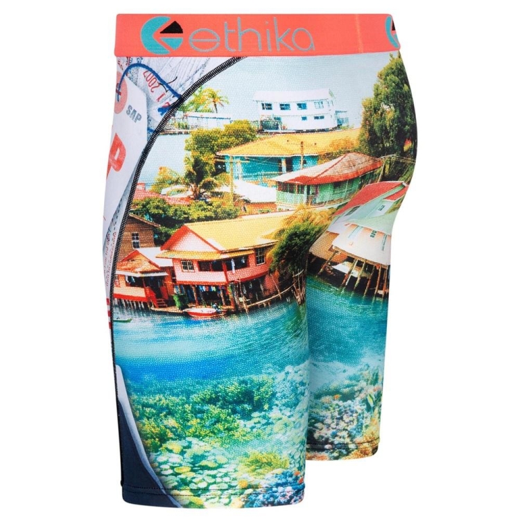 Staple Underwear Ethika Fly Out Multicolore Homme | LAUZ-14171543