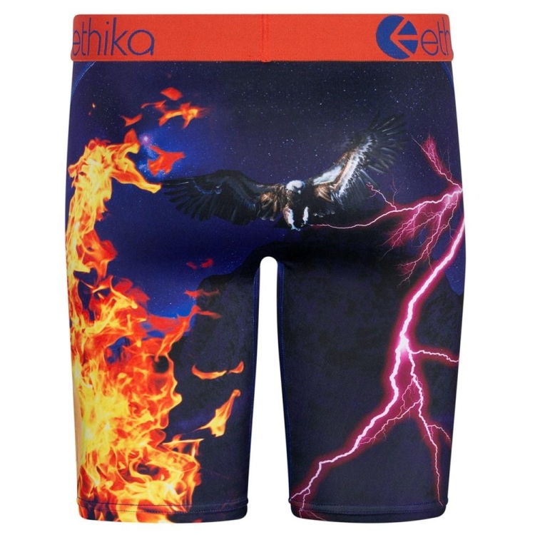 Staple Underwear Ethika Flame World Multicolore Homme | RLCU-17504824