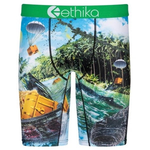 Staple Underwear Ethika Dundee Vert Homme | QKHA-68329466