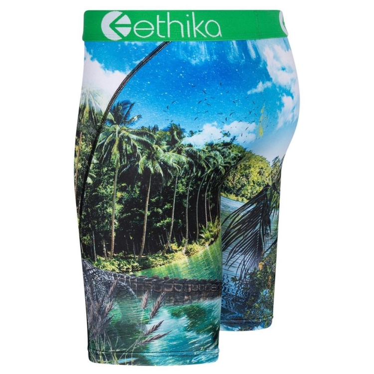 Staple Underwear Ethika Dundee Vert Homme | QKHA-68329466