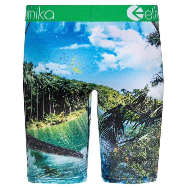 Staple Underwear Ethika Dundee Vert Homme | QKHA-68329466