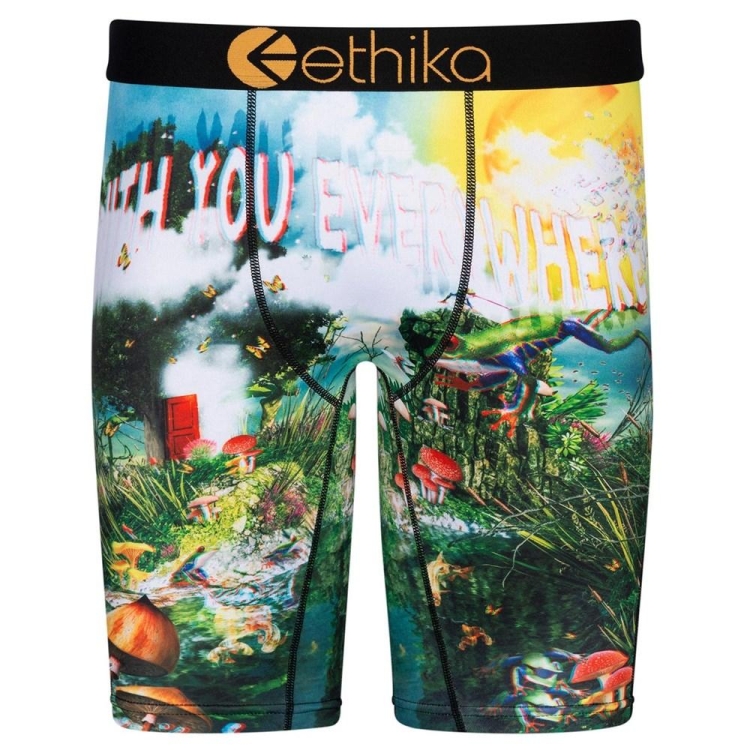 Staple Underwear Ethika Lifes a Trip 3D Multicolore Homme | TZIX-87541813