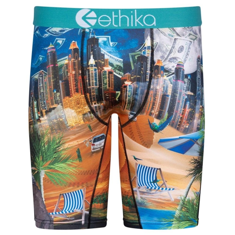 Staple Underwear Ethika Busta Piste 9 Multicolore Homme | SEWM-28029663