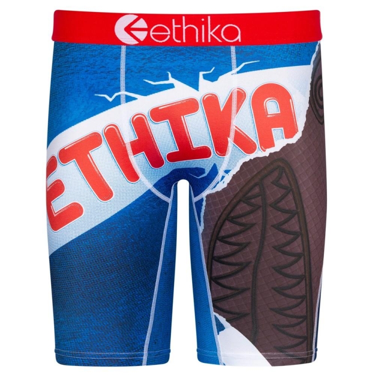 Staple Underwear Ethika Bomber Sweet Bleu Homme | DMYN-42062347