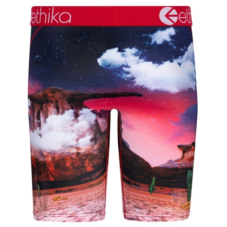 Staple Underwear Ethika Burnerz Rouge Homme | FZDA-53885122