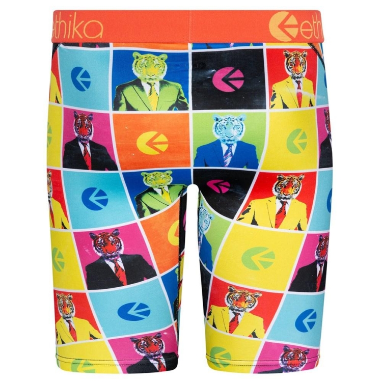 Staple Underwear Ethika Business Décontractées Multicolore Homme | CCGR-58134215