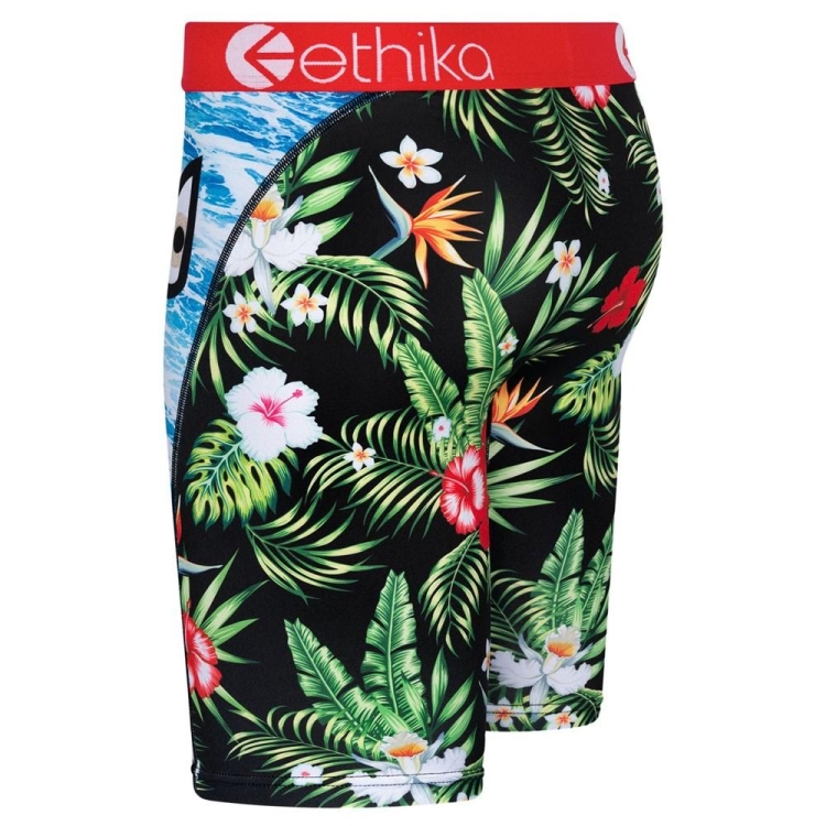 Staple Underwear Ethika Bomber Beach Bum Multicolore Homme | YEAL-54406363