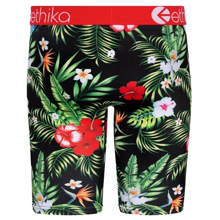 Staple Underwear Ethika Bomber Beach Bum Multicolore Homme | YEAL-54406363