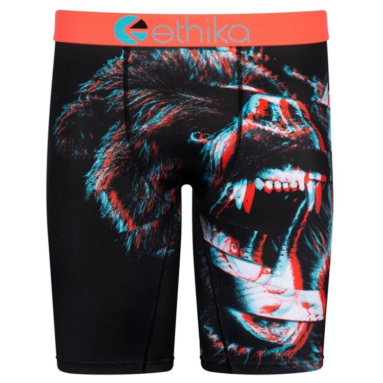 Staple Underwear Ethika Bear Matrix 3D Noir Homme | HVLC-50693095