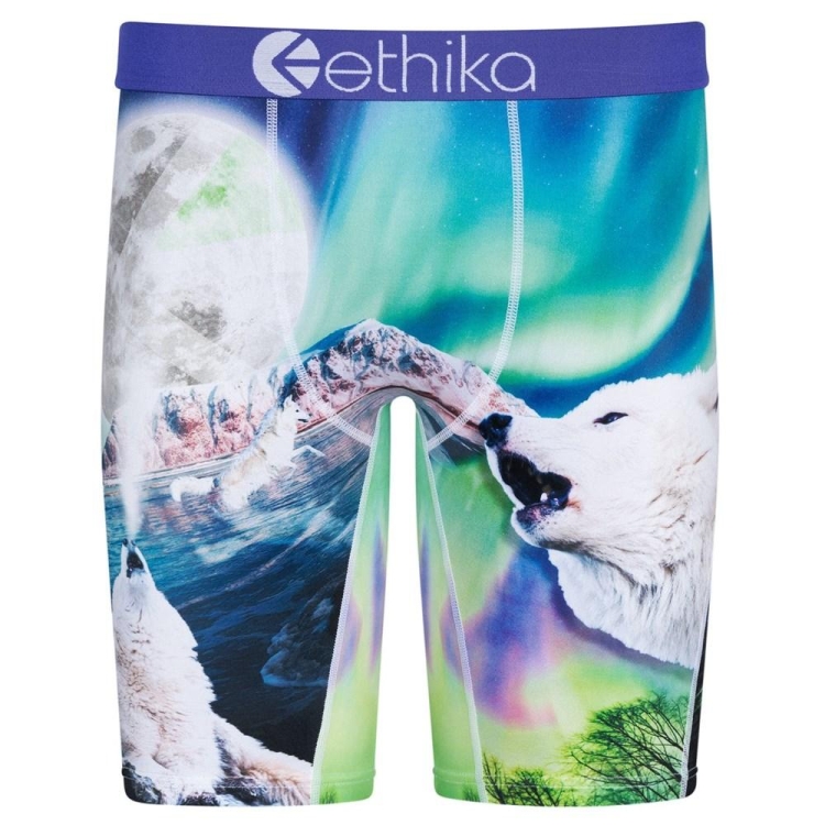 Staple Underwear Ethika Aurora Wolves Multicolore Homme | UENO-64444500