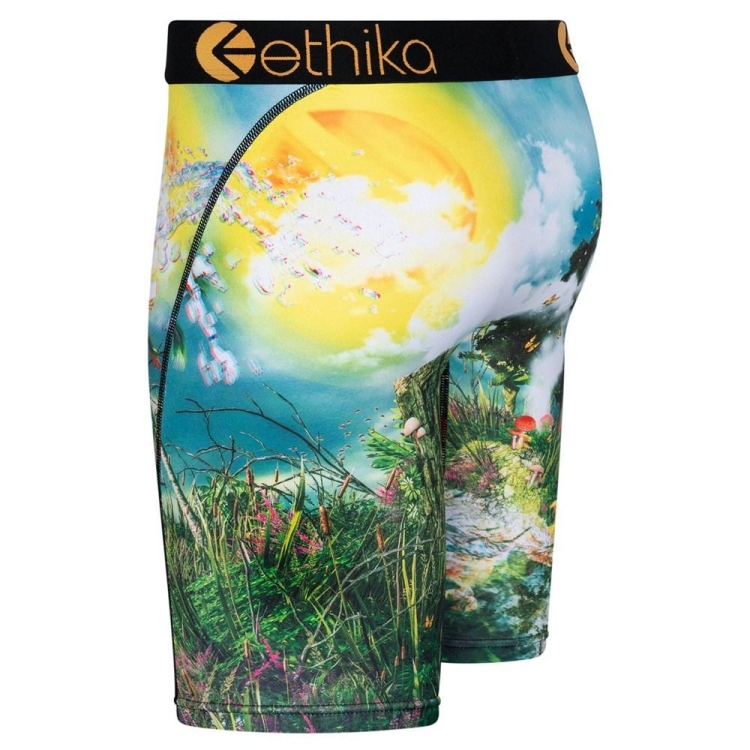 Staple Underwear Ethika Lifes a Trip 3D Multicolore Homme | TZIX-87541813