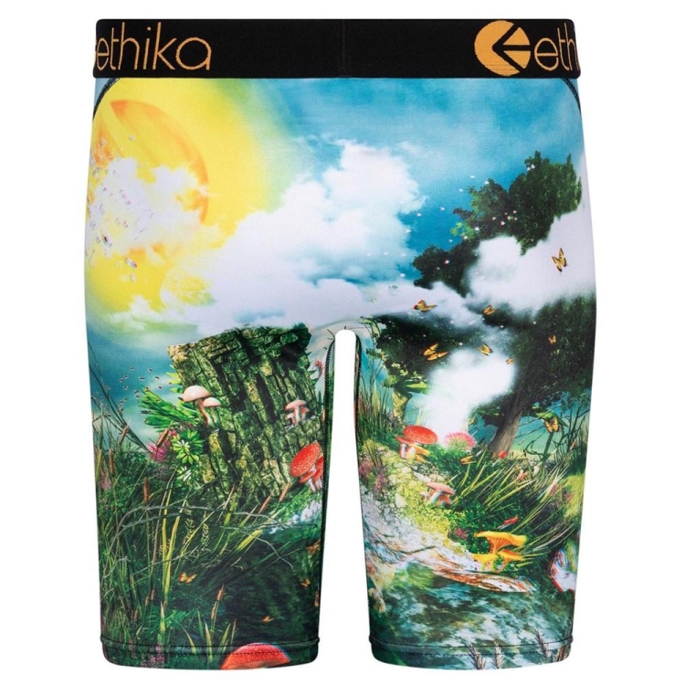 Staple Underwear Ethika Lifes a Trip 3D Multicolore Homme | TZIX-87541813