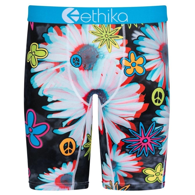 Staple Underwear Ethika De La 3D Multicolore Homme | AUAU-10188830