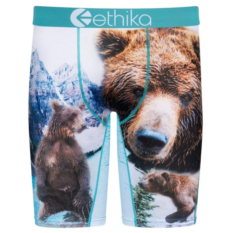 Staple Underwear Ethika Brother Bears Blanche Homme | TJDN-78336562